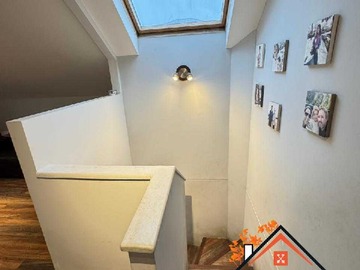 Imagen 14