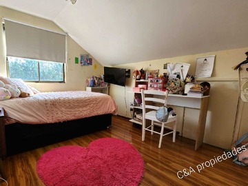 Imagen 15