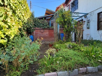 Imagen 13
