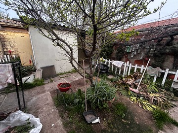 Imagen 10