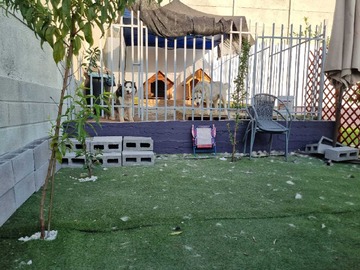 Imagen 19