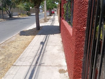 Imagen 37