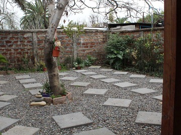 Imagen 15