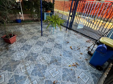 Imagen 11