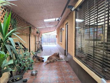 Imagen 20
