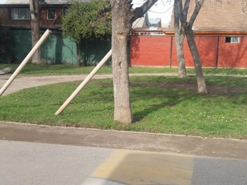 Imagen 15