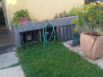 Imagen 22