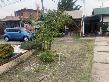 Imagen 13