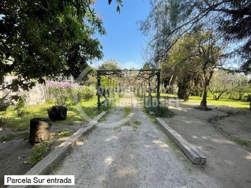 Imagen 21