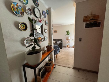 Imagen 6