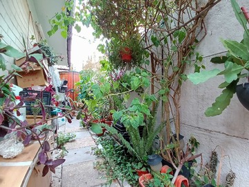 Imagen 20