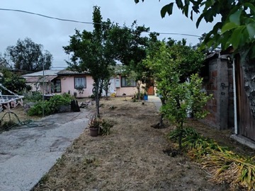 Imagen 8