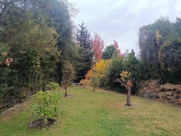 Imagen 18