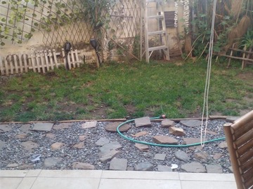 Imagen 19