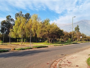 Imagen 30