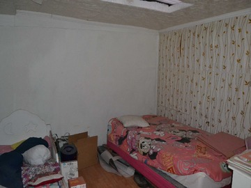 Imagen 11