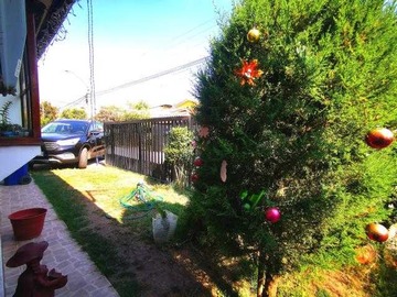 Imagen 9
