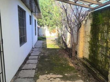 Imagen 20