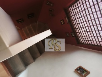 Imagen 19