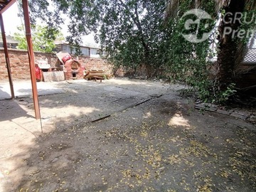 Imagen 11