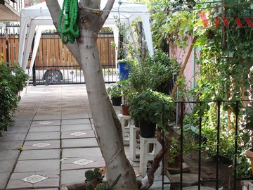 Imagen 8