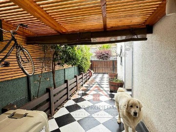 Imagen 18