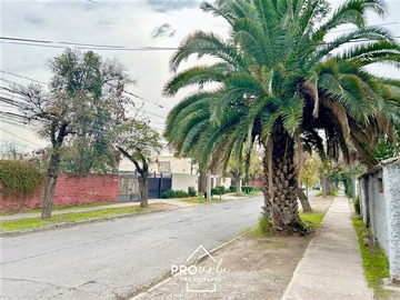 Imagen 29