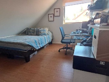 Imagen 19