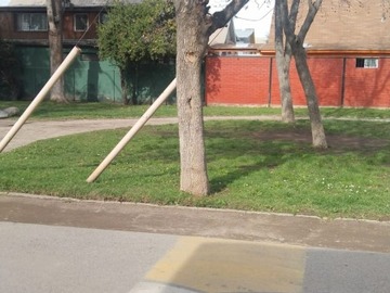 Imagen 5