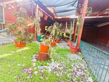 Imagen 21