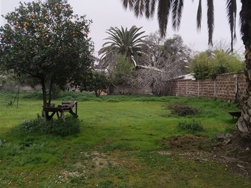 Imagen 9