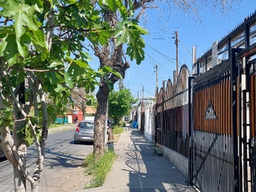 Imagen 6
