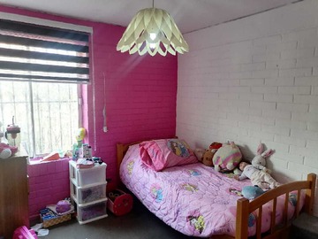 Imagen 13