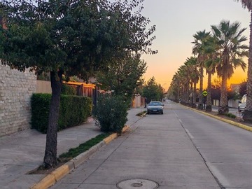 Imagen 19