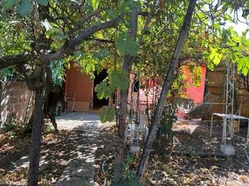 Imagen 11