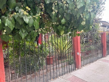 Imagen 6