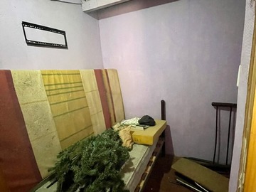 Imagen 20