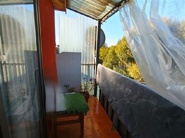 Imagen 5