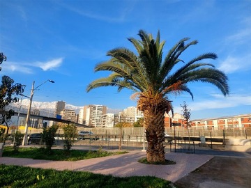Imagen 5