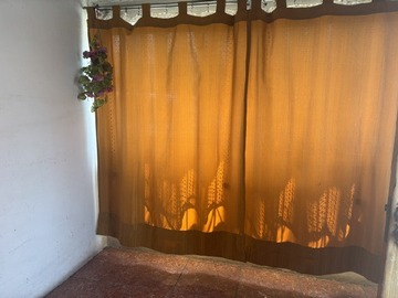 Imagen 12