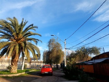 Imagen 7