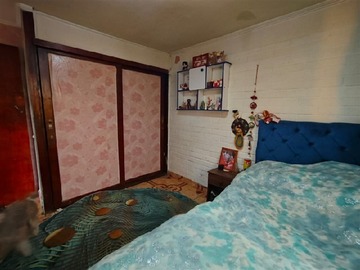 Imagen 15