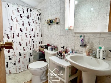 Imagen 19