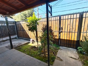 Imagen 5