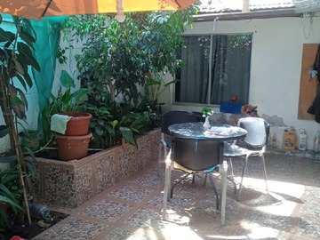 Imagen 10