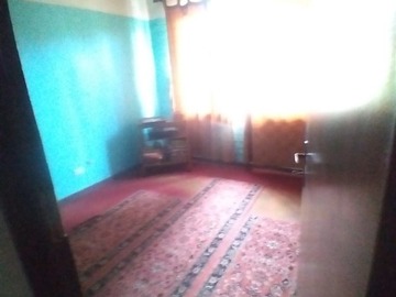 Imagen 11