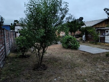 Imagen 7