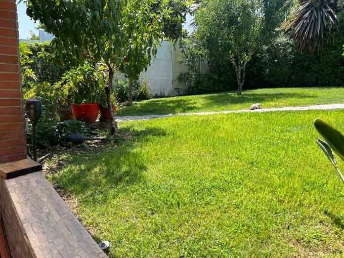 Patio lateral