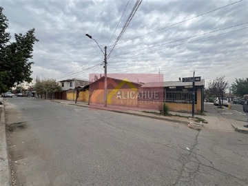 Imagen 15