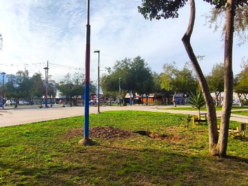 Imagen 9